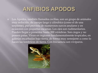 01.edna.excresion.en.anfibios | PPTX