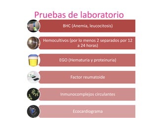 Pruebas de laboratorio
BHC (Anemia, leucocitosis)
Hemocultivos (por lo menos 2 separados por 12
a 24 horas)
EGO (Hematuria y proteinuria)
Factor reumatoide
Inmunocomplejos circulantes
Ecocardiograma
 