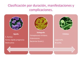Clasificación por duración, manifestaciones y
complicaciones.
Aguda.
S. Aureus
Forma rápida progresiva
Destructiva
Subaguda.
Estreptococo Viridans.
Enterococos
Bacterias Gram(-)
Crónica.
Legionella.
Brucella.
 