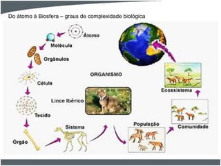 Do átomo à Biosfera – graus de complexidade biológica
 