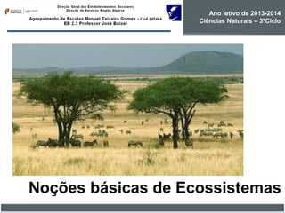 Noções básicas de Ecossistemas
Ano letivo de 2013-2014
Ciências Naturais – 3ºCiclo
 