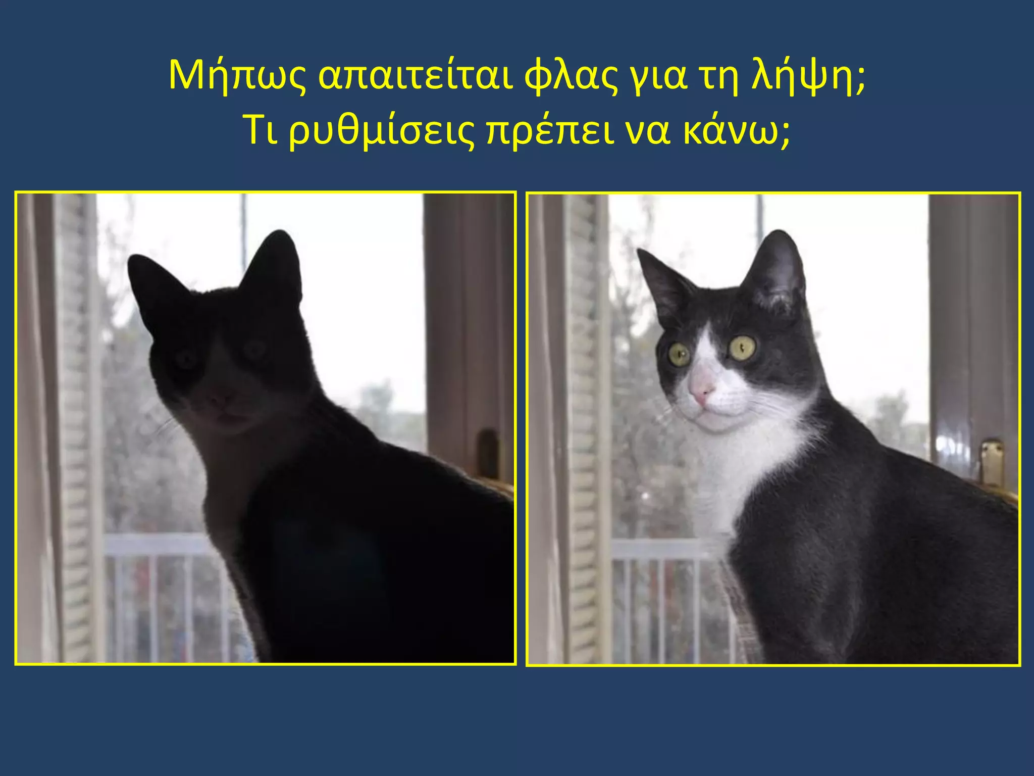 Μήπως απαιτείται φλας για τη λήψη;
Τι ρυθμίσεις πρέπει να κάνω;

 