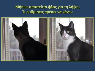 Μήπως απαιτείται φλας για τη λήψη;
Τι ρυθμίσεις πρέπει να κάνω;

 