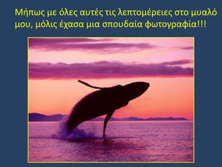 Μήπως με όλες αυτές τις λεπτομέρειες στο μυαλό
μου, μόλις έχασα μια σπουδαία φωτογραφία!!!

 