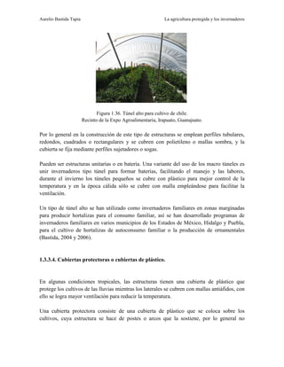 Agricultura Protegida en México - 01 La agricultura protegida y los invernaderos