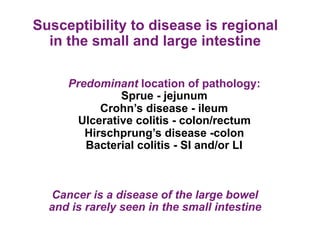 Susceptibility to disease is regional
  in the small and large intestine

     Predominant location of pathology:
               Sprue - jejunum
           Crohn’s disease - ileum
       Ulcerative colitis - colon/rectum
        Hirschprung’s disease -colon
        Bacterial colitis - SI and/or LI



  Cancer is a disease of the large bowel
  and is rarely seen in the small intestine
 