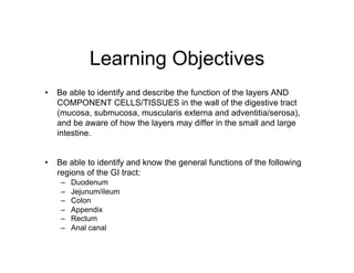 Learning Objectives
•  Be able to identify and describe the function of the layers AND
   COMPONENT CELLS/TISSUES in the wall of the digestive tract
   (mucosa, submucosa, muscularis externa and adventitia/serosa),
   and be aware of how the layers may differ in the small and large
   intestine.


•  Be able to identify and know the general functions of the following
   regions of the GI tract:
    –    Duodenum
    –    Jejunum/ileum
    –    Colon
    –    Appendix
    –    Rectum
    –    Anal canal
 