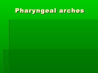 Pharyngeal arches

 