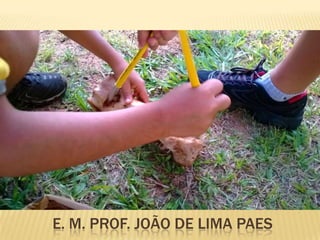 E. M. PROF. JOÃO DE LIMA PAES

 