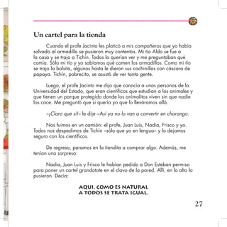 Un cartel para la tienda
Cuando el profe Jacinto les platicó a mis compañeros que yo había
salvado al armadillo se pusieron muy contentos. Mi tío Aldo se fue a
la casa y se trajo a Tichín. Todos lo querían ver y me preguntaban qué
comía. Sólo mi tío y yo sabíamos qué comen los armadillos. Como mi tío
se trajo la bolsita, algunos hasta le dieron sus cochinillas con cáscara de
papaya. Tichín, pobrecito, se asustó de ver tanta gente.
Luego, el profe Jacinto me dijo que conocía a unas personas de la
Universidad del Estado, que eran científicos que estudian a los animales y
que tienen un parque protegido donde los animalitos viven sin que nadie
los cace. Me preguntó que si quería yo que lo lleváramos allá.
–¡Claro que sí!– le dije –Así ya no lo van a convertir en charango.
Nos fuimos en un camión: el profe, Juan Luis, Nadia, Frisco y yo.
Todos nos despedimos de Tichín –sólo que yo en lengua– y lo dejamos
seguro con los científicos.
De regreso, paramos en la tiendita a comprar algo. Además, me
tenían una sorpresa:
Nadia, Juan Luis y Frisco le habían pedido a Don Esteban permiso
para poner un cartel grandotote en el clavo de la pared. Allí, en lo alto lo
pusieron. Decía:
AQUI, COMO ES NATURAL
A TODOS SE TRATA IGUAL.
27
 
