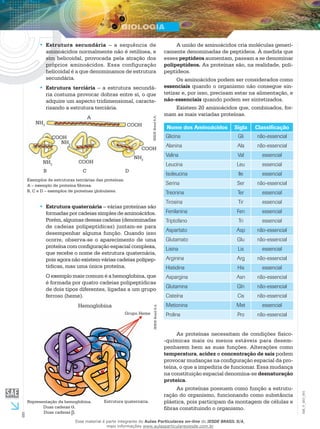 6
EM_V_BIO_001
Estrutura secundária•• – a sequência de
aminoácidos normalmente não é retilínea, e
sim helicoidal, provocada pela atração dos
próprios aminoácidos. Essa configuração
helicoidal é a que denominamos de estrutura
secundária.
Estrutura terciária•• – a estrutura secundá-
ria costuma provocar dobras entre si, o que
adquire um aspecto tridimensional, caracte-
rizando a estrutura terciária.
IESDEBrasilS.A.
A
COOH
COOH
COOH
COOH
NH2
NH2
NH2
NH2
B C D
Exemplos de estruturas terciárias das proteínas.
A – exemplo de proteína fibrosa.
B, C e D – exemplos de proteínas globulares.
Estrutura quaternária•• – várias proteínas são
formadas por cadeias simples de aminoácidos.
Porém, algumas dessas cadeias (denominadas
de cadeias polipeptídicas) juntam-se para
desempenhar alguma função. Quando isso
ocorre, observa-se o aparecimento de uma
proteína com configuração espacial complexa,
que recebe o nome de estrutura quaternária,
pois agora não existem várias cadeias polipep-
tídicas, mas uma única proteína.
O exemplo mais comum é a hemoglobina, que
é formada por quatro cadeias polipeptídicas
de dois tipos diferentes, ligadas a um grupo
ferroso (heme).
Hemoglobina
Grupo Heme
Estrutura quaternária.Representação da hemoglobina.
Duas cadeias .
Duas cadeias .
IESDEBrasilS.A.
A união de aminoácidos cria moléculas generi-
camente denominadas de peptídeos. À medida que
esses peptídeos aumentam, passam a se denominar
polipeptídeos. As proteínas são, na realidade, poli-
peptídeos.
Os aminoácidos podem ser considerados como
essenciais quando o organismo não consegue sin-
tetizar e, por isso, precisam estar na alimentação, e
não-essenciais quando podem ser sintetizados.
Existem 20 aminoácidos que, combinados, for-
mam as mais variadas proteínas.
Nome dos Aminoácidos Sigla Classificação
Glicina Gli não-essencial
Alanina Ala não-essencial
Valina Val essencial
Leucina Leu essencial
Isoleucina lle essencial
Serina Ser não-essencial
Treonina Ter essencial
Tirosina Tir essencial
Fenilanina Fen essencial
Triptofano Tri essencial
Aspartato Asp não-essencial
Glutamato Glu não-essencial
Lisina Lis essencial
Arginina Arg não-essencial
Histidina His essencial
Aspargina Asn não-essencial
Glutamina Gln não-essencial
Cisteína Cis não-essencial
Metionina Met essencial
Prolina Pro não-essencial
As proteínas necessitam de condições físico-
-químicas mais ou menos estáveis para desem-
penharem bem as suas funções. Alterações como
temperatura, acidez e concentração de sais podem
provocar mudanças na configuração espacial da pro-
teína, o que a impediria de funcionar. Essa mudança
na constituição espacial denomina-se desnaturação
proteica.
As proteínas possuem como função a estrutu-
ração do organismo, funcionando como substância
plástica, pois participam da montagem de células e
fibras constituindo o organismo.
Esse material é parte integrante do Aulas Particulares on-line do IESDE BRASIL S/A,
mais informações www.aulasparticularesiesde.com.br
 