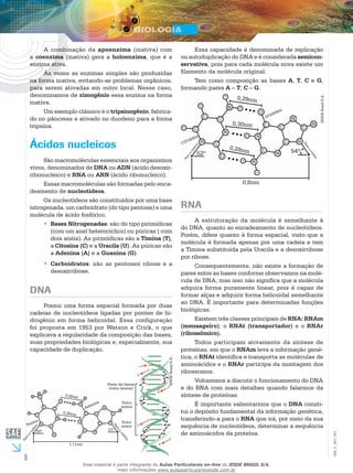 8
EM_V_BIO_001
A combinação da apoenzima (inativa) com
a coenzima (inativa) gera a holoenzima, que é a
enzima ativa.
Às vezes as enzimas simples são produzidas
na forma inativa, evitando-se problemas orgânicos,
para serem ativadas em outro local. Nesse caso,
denominamos de zimogênio essa enzima na forma
inativa.
Um exemplo clássico é o tripsinogênio, fabrica-
do no pâncreas e ativado no duodeno para a forma
tripsina.
Ácidos nucleicos
São macromoléculas essenciais aos organismos
vivos, denominados de DNA ou ADN (ácido desoxir-
ribonucleico) e RNA ou ARN (ácido ribonucleico).
Essas macromoléculas são formadas pelo enca-
deamento de nucleotídeos.
Os nucleotídeos são constituídos por uma base
nitrogenada, um carboidrato (do tipo pentose) e uma
molécula de ácido fosfórico.
Bases Nitrogenadas•• : são do tipo pirimídicas
(com um anel heterocíclico) ou púricas ( com
dois anéis). As pirimídicas são a Timina (T),
a Citosina (C) e a Uracila (U). As púricas são
a Adenina (A) e a Guanina (G).
Carboidratos•• : são as pentoses ribose e a
desoxirribose.
DNA
Possui uma forma espacial formada por duas
cadeias de nucleotídeos ligadas por pontes de hi-
drogênio em forma helicoidal. Essa configuração
foi proposta em 1953 por Watson e Crick, o que
explicava a regularidade da composição das bases,
suas propriedades biológicas e, especialmente, sua
capacidade de duplicação.
Sulco
menor
Pares de bases
(vista lateral)
51º
1,11nm
Para
a
cadeia
Para
a
cadeia
50º
0,28nm
0,30nm
Adenina
Timina Sulco
maior
IESDEBrasilS.A.
Essa capacidade é denominada de replicação
ou autoduplicação do DNA e é considerada semicon-
servativa, pois para cada molécula nova existe um
filamento da molécula original.
Tem como composição as bases A, T, C e G,
formando pares A – T; C – G.
IESDEBrasilS.A.
0,29nm
0,8nm
52º 54º
0,29nm
0,30nm
Paraacadeia
Paraacadeia
GUANINA
CITOSINA
RNA
A estruturação da molécula é semelhante à
do DNA, quanto ao encadeamento de nucleotídeos.
Porém, difere quanto à forma espacial, visto que a
molécula é formada apenas por uma cadeia e tem
a Timina substituída pela Uracila e a desoxirribose
por ribose.
Consequentemente, não existe a formação de
pares entre as bases conforme observamos na molé-
cula de DNA, mas isso não significa que a molécula
adquira forma puramente linear, pois é capaz de
formar alças e adquirir forma helicoidal semelhante
ao DNA. É importante para determinadas funções
biológicas.
Existem três classes principais de RNA: RNAm
(mensageiro); o RNAt (transportador) e o RNAr
(ribossômico).
Todos participam ativamente da síntese de
proteínas, em que o RNAm leva a informação gené-
tica; o RNAt identifica e transporta as moléculas de
aminoácidos e o RNAr participa da montagem dos
ribossomos.
Voltaremos a discutir o funcionamento do DNA
e do RNA com mais detalhes quando falarmos da
síntese de proteínas.
É importante salientarmos que o DNA consti-
tui o depósito fundamental da informação genética,
transferindo-a para o RNA que irá, por meio da sua
sequência de nucleotídeos, determinar a sequência
de aminoácidos da proteína.
Esse material é parte integrante do Aulas Particulares on-line do IESDE BRASIL S/A,
mais informações www.aulasparticularesiesde.com.br
 