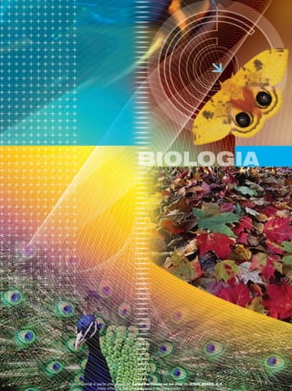 Esse material é parte integrante do Aulas Particulares on-line do IESDE BRASIL S/A,
mais informações www.aulasparticularesiesde.com.br
 