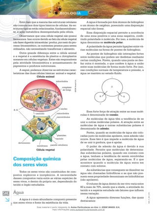 2
EM_V_BIO_001
Está claro que a maioria das estruturas celulares
são comuns aos dois tipos básicos de células. As es-
truturas típicas estão relacionadas, fundamentalmen-
te, à ação metabólica desempenhada pela célula.
Observamos que uma célula vegetal não possui
lisossomos. Isso ocorre devido ao fato da célula vegetal
nãofazerdigestãointracelular:produz,pormeiodopro-
cesso fotossintético, os nutrientes prontos para serem
utilizados, não necessitando transformar o alimento.
Outra grande diferença entre a célula animal
e a vegetal é a existência de plastos e cloroplastos
somente em células vegetais. Estes são responsáveis
pela atividade fotossintética e armazenamento de
pigmentos e produtos nutricionais.
A seguir, podemos observar as estruturas carac-
terísticas das duas células básicas: animal e vegetal.
centríolo
núcleo
mitocôndria
microtúbulos
plastídeo
vacúolo
parede celulósicamembrana
dictiossomo
mitocôndria
complexo
de Golgi
R. E.
IESDEBrasilS.A.
Célula animal
Célula vegetal
Composição química
dos seres vivos
Todos os seres vivos são constituídos de com-
postos orgânicos e inorgânicos. A necessidade
desses compostos varia entre as várias espécies de
seres vivos, e dentro do próprio ser, dependendo do
tecido e órgão estudados.
Água
A água é o mais abundante composto presente
nos seres vivos e fonte da existência da vida.
A água é formada por dois átomos de hidrogênio
e um átomo de oxigênio, possuindo uma disposição
espacial não-linear.
Essa disposição espacial permite a ocorrência
de uma zona positiva e uma zona negativa, confe-
rindo polaridade à molécula. Por isso, a molécula de
água denomina-se molécula polar.
A polaridade da água permite ligações entre vá-
rias moléculas na forma de pontes de hidrogênio.
As pontes de hidrogênio são interações fortes
entre moléculas que podem ser desfeitas mediante
certas condições. Porém, quando uma ponte se des-
faz outra é montada, o que confere à água a união
entre suas moléculas de forma muito forte. Por isso,
nas condições normais de temperatura e pressão, a
água se mantém no estado fluído.
O
H H
+ +
–
Essa forte força de atração entre as suas molé-
culas é denominada de coesão.
As moléculas de água têm a tendência de se
unir a outras moléculas polares. A atração entre as
moléculas de água e outras substâncias polares é
denominada de adesão.
Porém, quando as moléculas de água são colo-
cadas junto às moléculas apolares, essa adesão não
ocorre. Esse fato é que impede a molécula de água
de se unir à gordura, que é apolar.
O poder de adesão da água é devido à sua
polaridade. Permite que moléculas de determina-
das substâncias polares, quando em contato com
a água, tenham a tendência de serem envolvidas
pelas moléculas de água, separando-se. É o que
acontece quando a molécula de água entra em
contato com solutos.
As substâncias que conseguem se dissolver na
água são chamadas hidrofílicas e as que não pos-
suem essa propriedade denominam-se hidrofóbicas
(são apolares).
O volume de água dentro do ser vivo varia entre
60 a mais de 70%, sendo que a idade, a atividade do
tecido e a espécie estudada são fatores que influem
nessa variação.
A água apresenta diversas funções, das quais
destacamos:
Esse material é parte integrante do Aulas Particulares on-line do IESDE BRASIL S/A,
mais informações www.aulasparticularesiesde.com.br
 