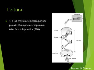 Leitura
 4: a luz emitida é coletada por um
guia de fibra óptica e chega a um
tubo fotomultiplicador (TFM)
Powsner & Powsner
89
 