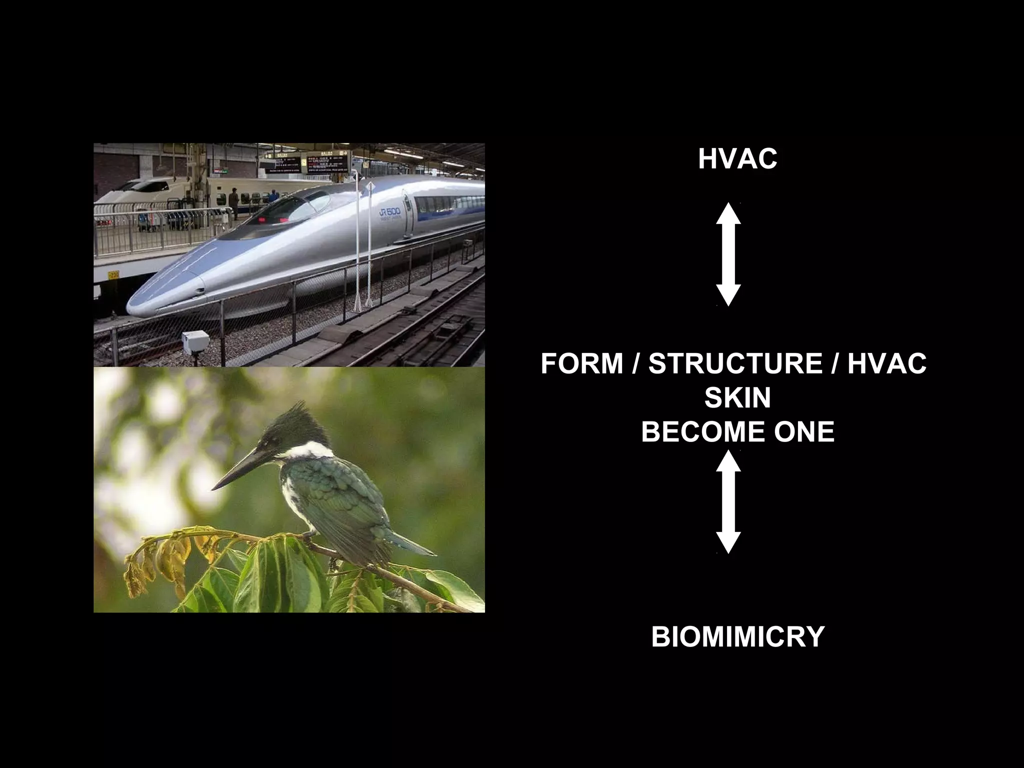 HVAC
FORM / STRUCTURE / HVAC
SKIN
BECOME ONE
BIOMIMICRY
 