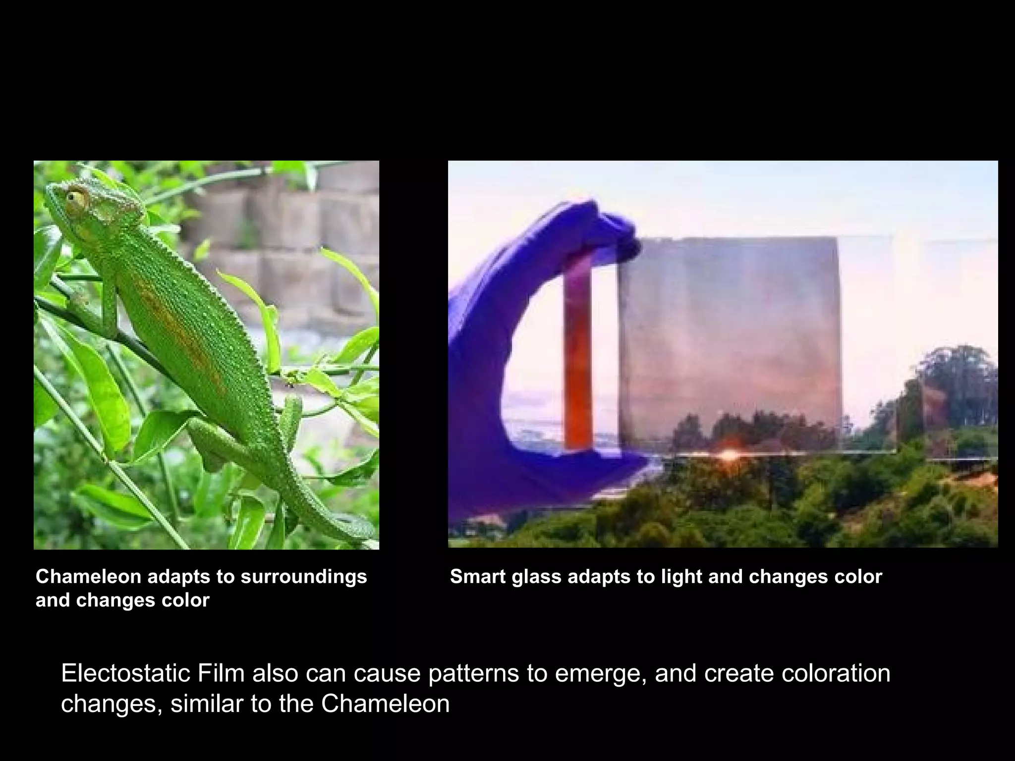 Chameleon adapts to surroundings
and changes color
Smart glass adapts to light and changes color
Electostatic Film also can cause patterns to emerge, and create coloration
changes, similar to the Chameleon
 