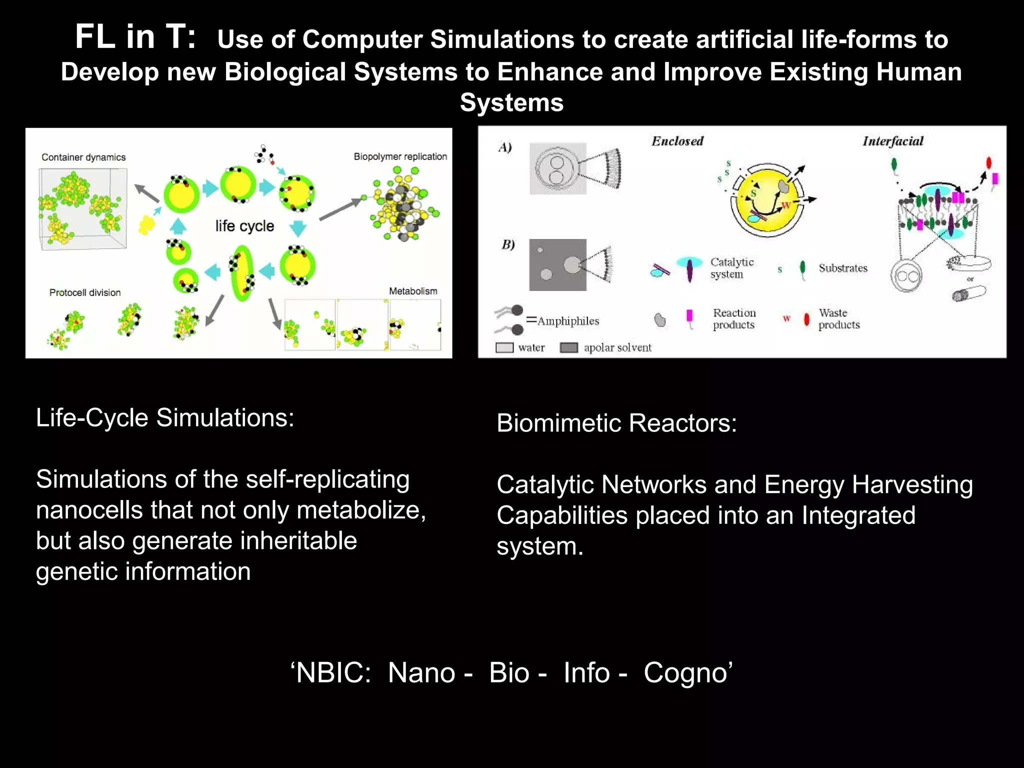 Life-Cycle Simulations:
Simulations of the self-replicating
nanocells that not only metabolize,
but also generate inheritable
genetic information
Biomimetic Reactors:
Catalytic Networks and Energy Harvesting
Capabilities placed into an Integrated
system.
FL in T: Use of Computer Simulations to create artificial life-forms to
Develop new Biological Systems to Enhance and Improve Existing Human
Systems
‘NBIC: Nano - Bio - Info - Cogno’
 