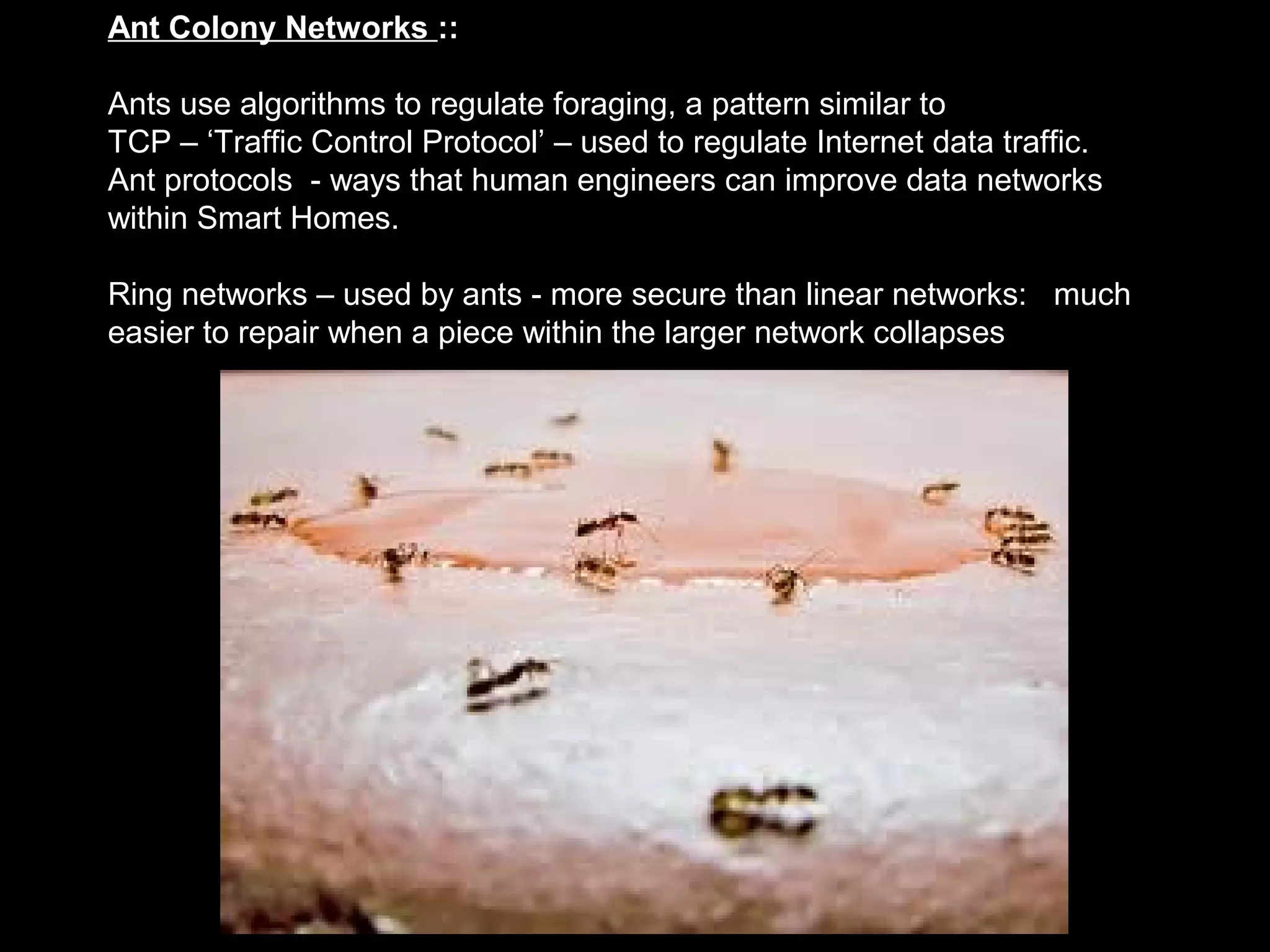 Ant Colony Networks ::
Ants use algorithms to regulate foraging, a pattern similar to
TCP – ‘Traffic Control Protocol’ – used to regulate Internet data traffic.
Ant protocols - ways that human engineers can improve data networks
within Smart Homes.
Ring networks – used by ants - more secure than linear networks: much
easier to repair when a piece within the larger network collapses
 