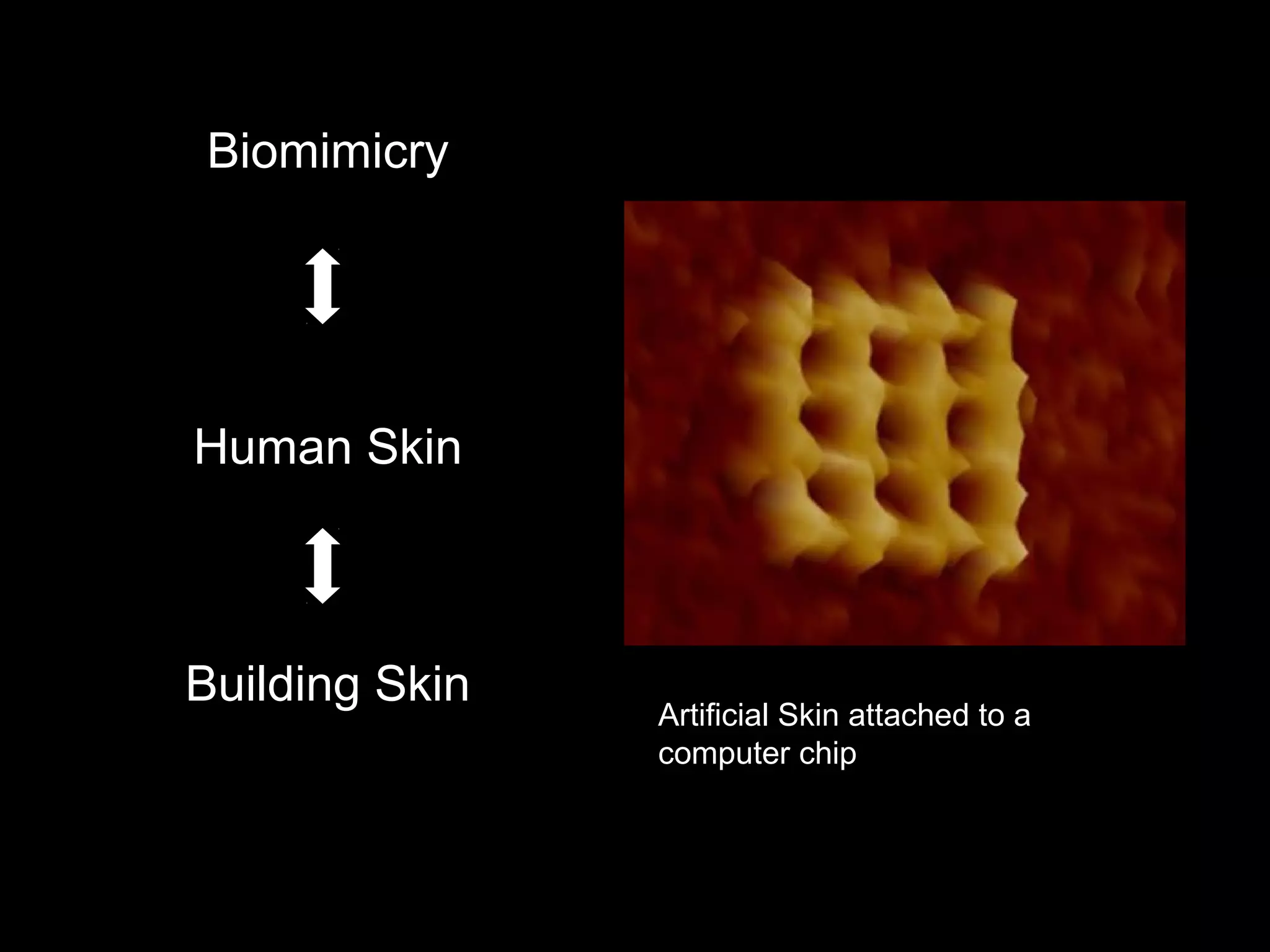 Biomimicry
Human Skin
Building Skin
0
Artificial Skin attached to a
computer chip
 