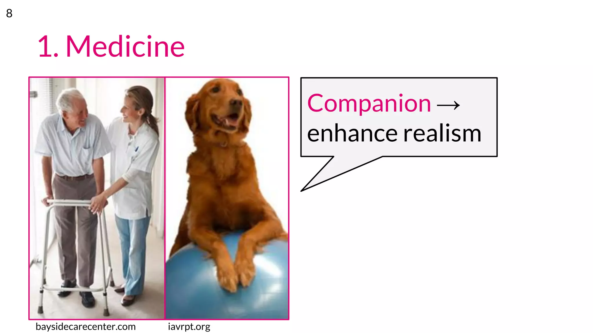 1. Medicine
baysidecarecenter.com iavrpt.org
Companion →
enhance realism
8
 