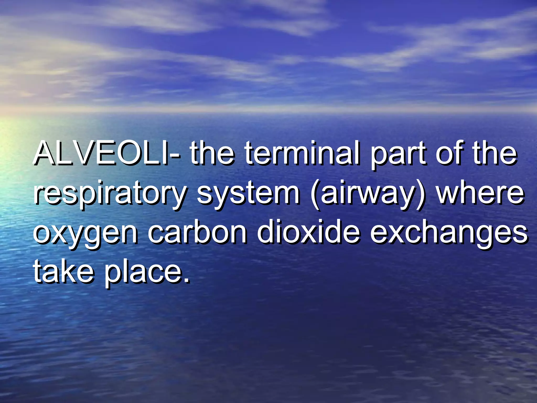 ALVEOLI- the terminal part of theALVEOLI- the terminal part of the
respiratory system (airway) whererespiratory system (airway) where
oxygen carbon dioxide exchangesoxygen carbon dioxide exchanges
take place.take place.
 