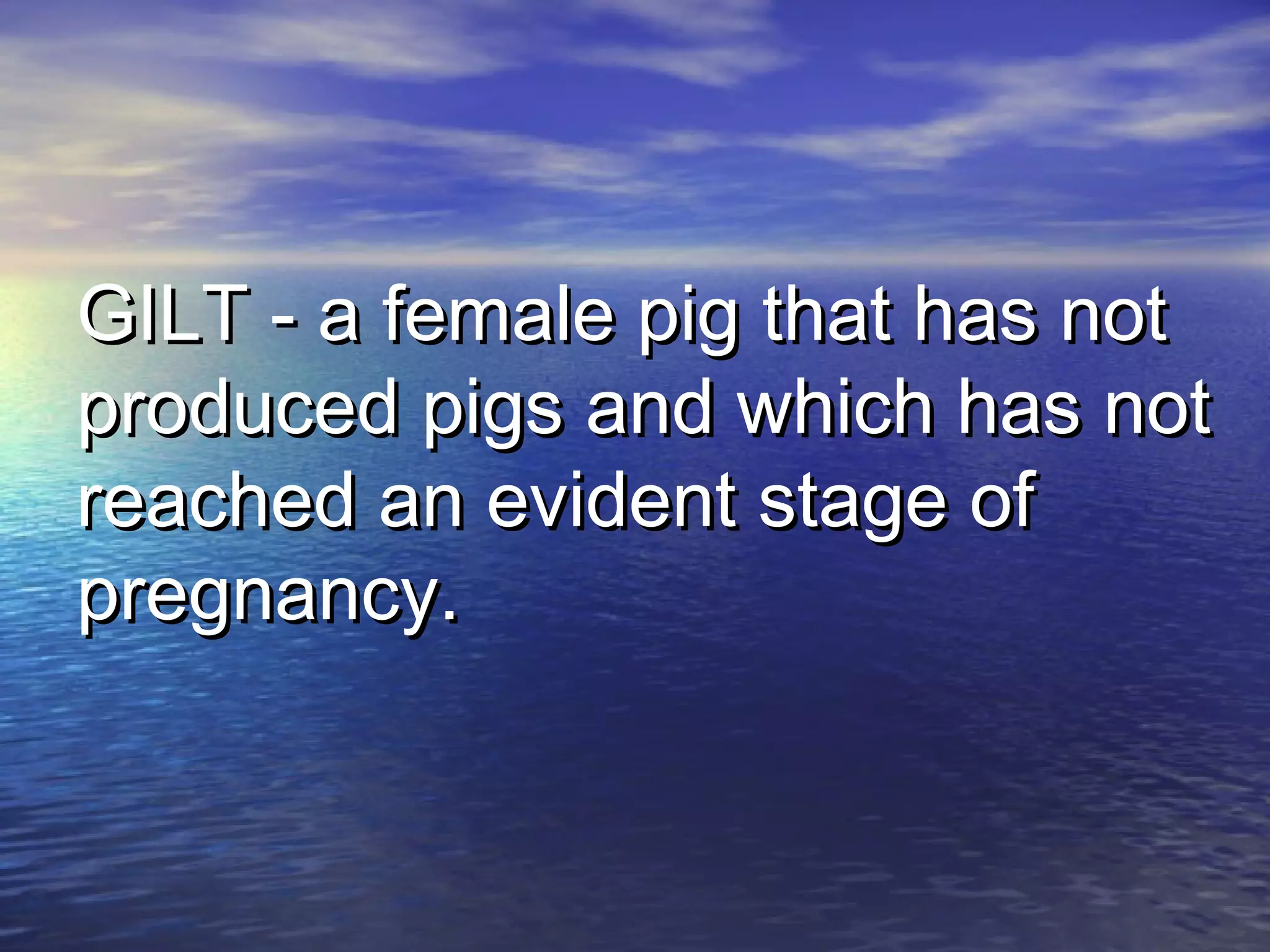 GILT - a female pig that has notGILT - a female pig that has not
produced pigs and which has notproduced pigs and which has not
reached an evident stage ofreached an evident stage of
pregnancy.pregnancy.
 