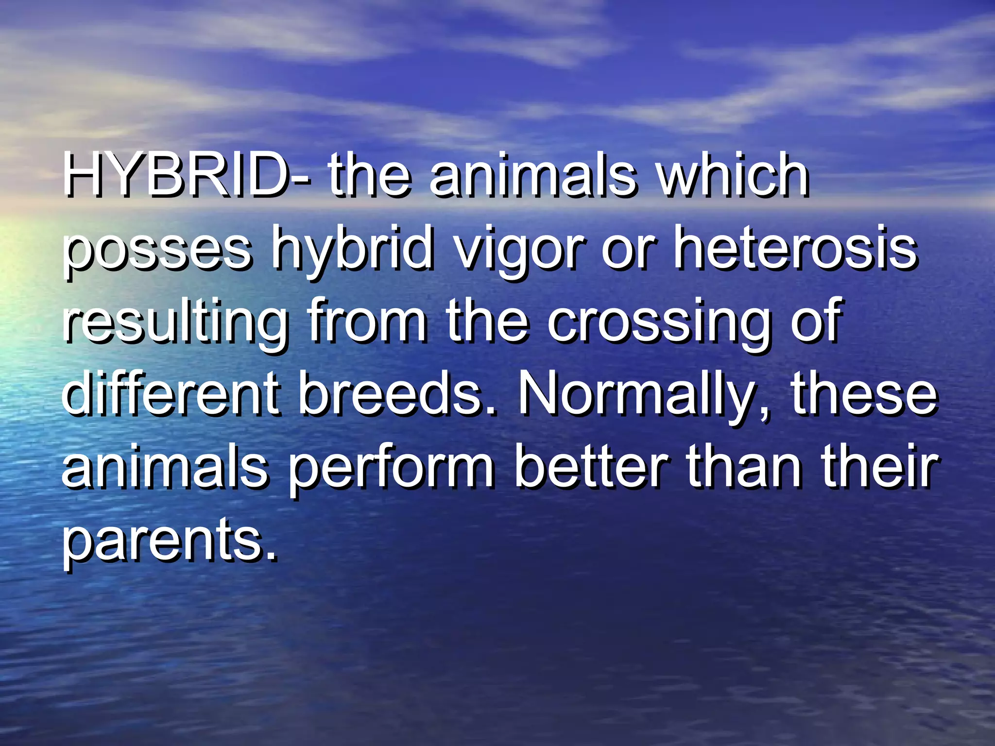 HYBRID- the animals whichHYBRID- the animals which
posses hybrid vigor or heterosisposses hybrid vigor or heterosis
resulting from the crossing ofresulting from the crossing of
different breeds. Normally, thesedifferent breeds. Normally, these
animals perform better than theiranimals perform better than their
parents.parents.
 