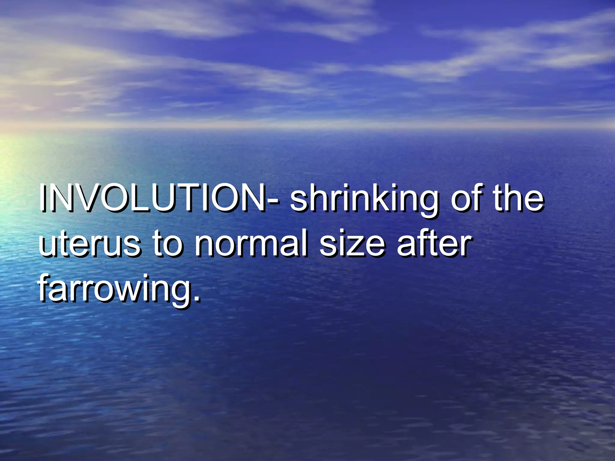 INVOLUTION- shrinking of theINVOLUTION- shrinking of the
uterus to normal size afteruterus to normal size after
farrowing.farrowing.
 