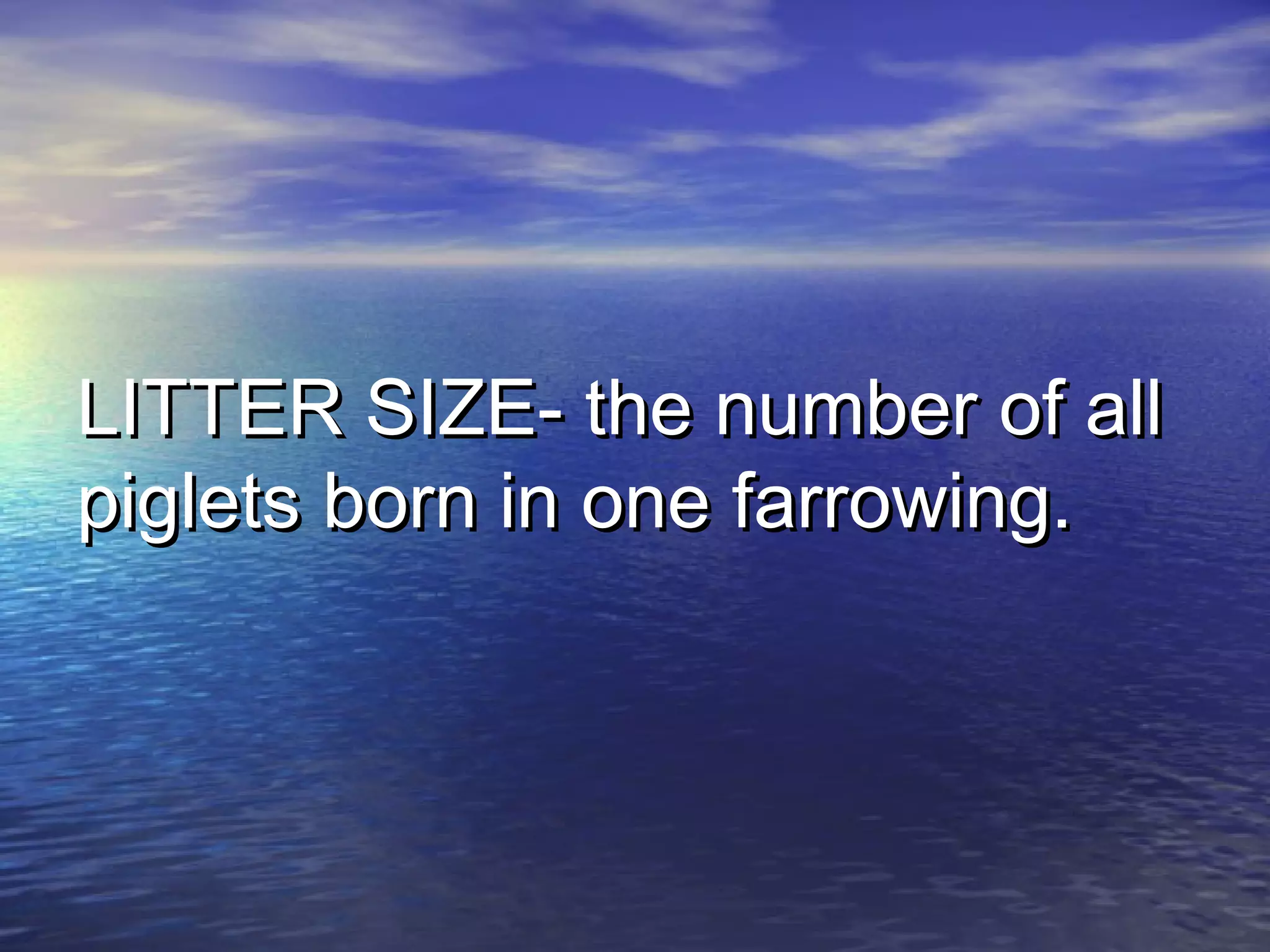 LITTER SIZE- the number of allLITTER SIZE- the number of all
piglets born in one farrowing.piglets born in one farrowing.
 