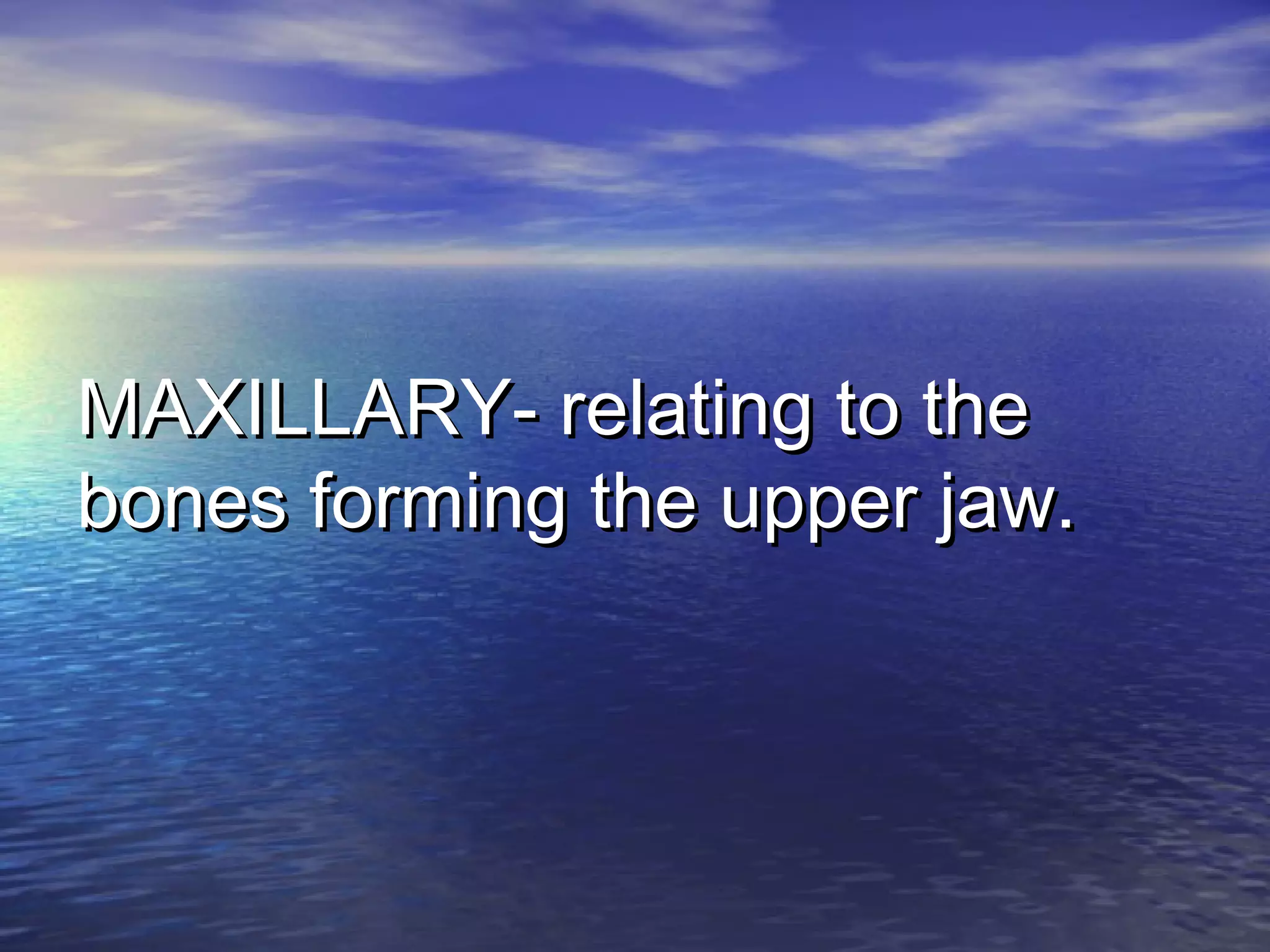 MAXILLARY- relating to theMAXILLARY- relating to the
bones forming the upper jaw.bones forming the upper jaw.
 