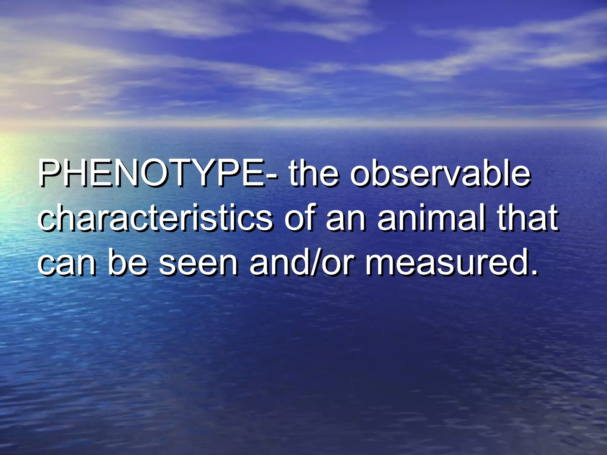 PHENOTYPE- the observablePHENOTYPE- the observable
characteristics of an animal thatcharacteristics of an animal that
can be seen and/or measured.can be seen and/or measured.
 