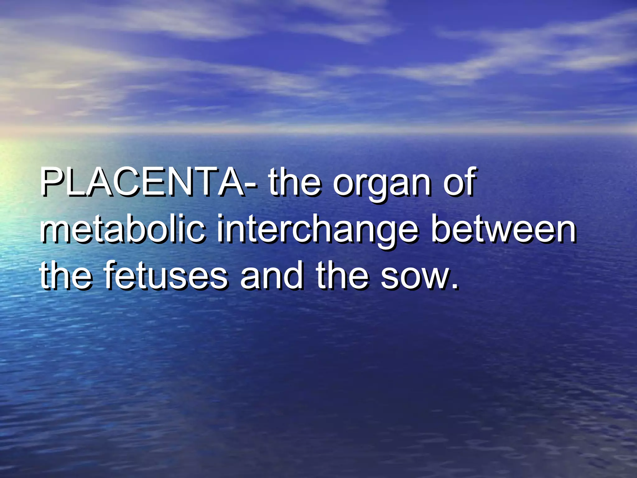 PLACENTA- the organ ofPLACENTA- the organ of
metabolic interchange betweenmetabolic interchange between
the fetuses and the sow.the fetuses and the sow.
 