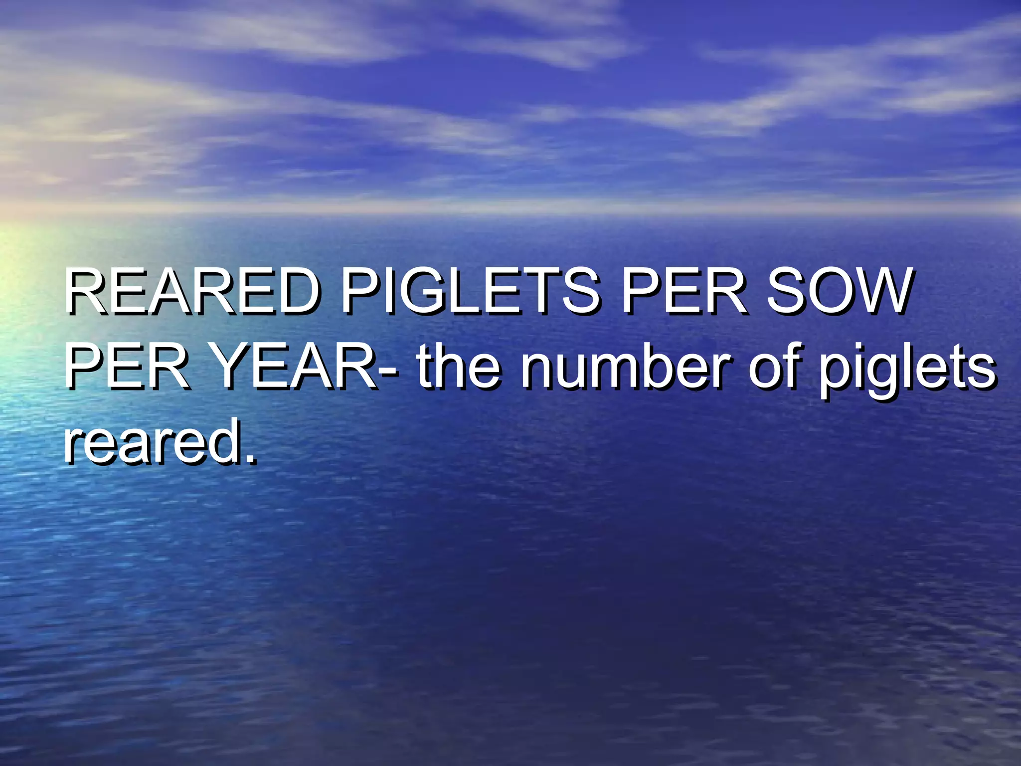 REARED PIGLETS PER SOWREARED PIGLETS PER SOW
PER YEAR- the number of pigletsPER YEAR- the number of piglets
reared.reared.
 