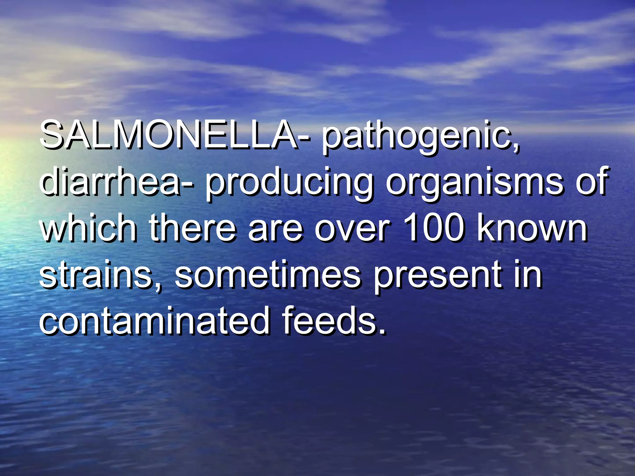 SALMONELLA- pathogenic,SALMONELLA- pathogenic,
diarrhea- producing organisms ofdiarrhea- producing organisms of
which there are over 100 knownwhich there are over 100 known
strains, sometimes present instrains, sometimes present in
contaminated feeds.contaminated feeds.
 