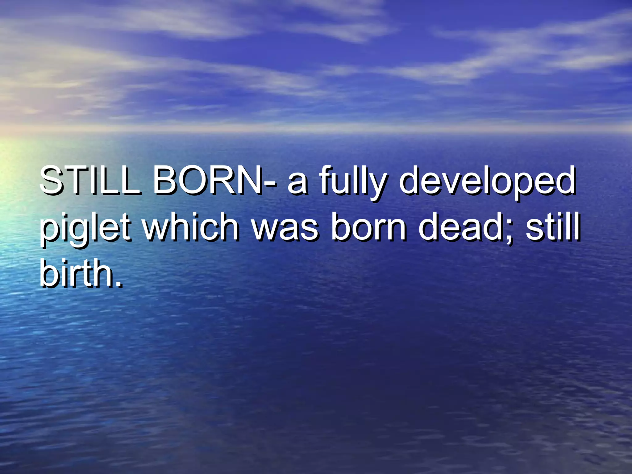 STILL BORN- a fully developedSTILL BORN- a fully developed
piglet which was born dead; stillpiglet which was born dead; still
birth.birth.
 
