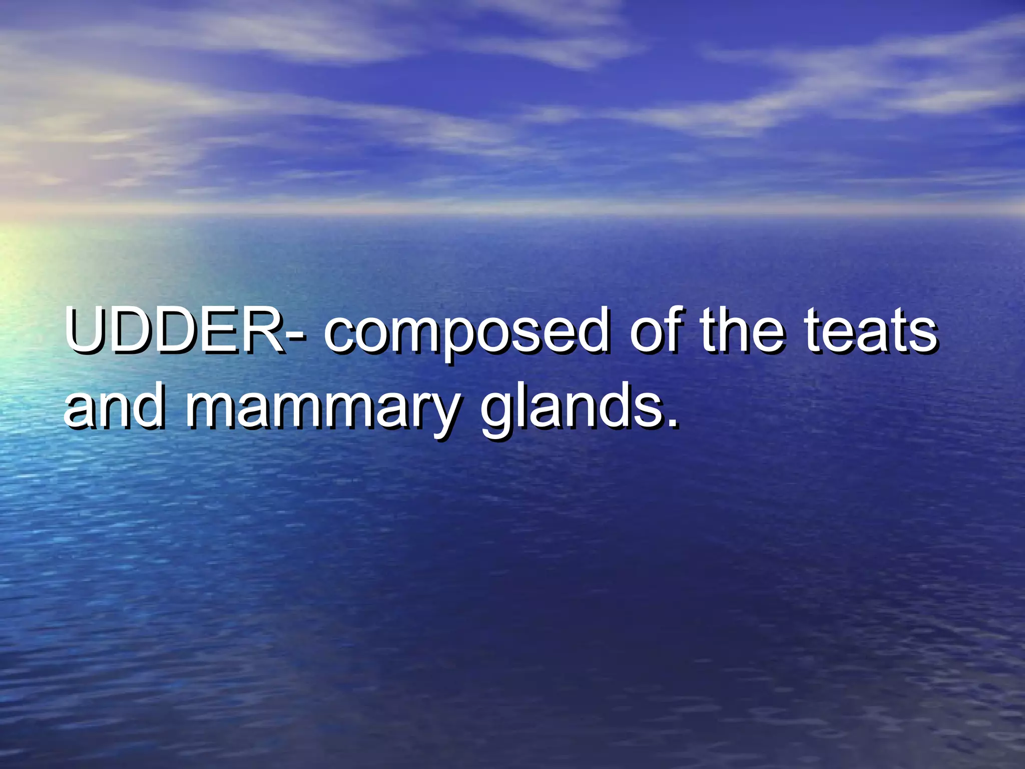 UDDER- composed of the teatsUDDER- composed of the teats
and mammary glands.and mammary glands.
 