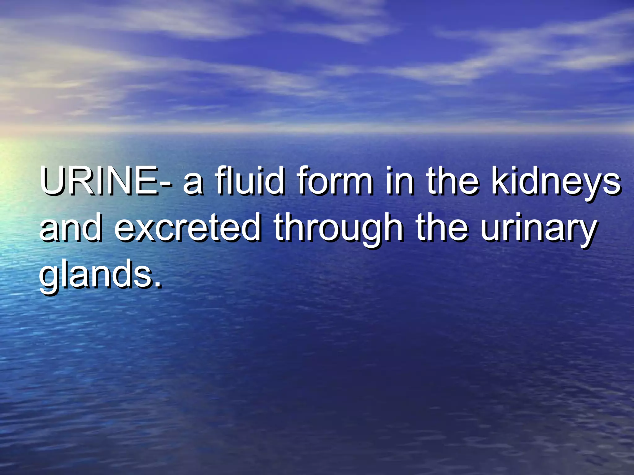 URINE- a fluid form in the kidneysURINE- a fluid form in the kidneys
and excreted through the urinaryand excreted through the urinary
glands.glands.
 