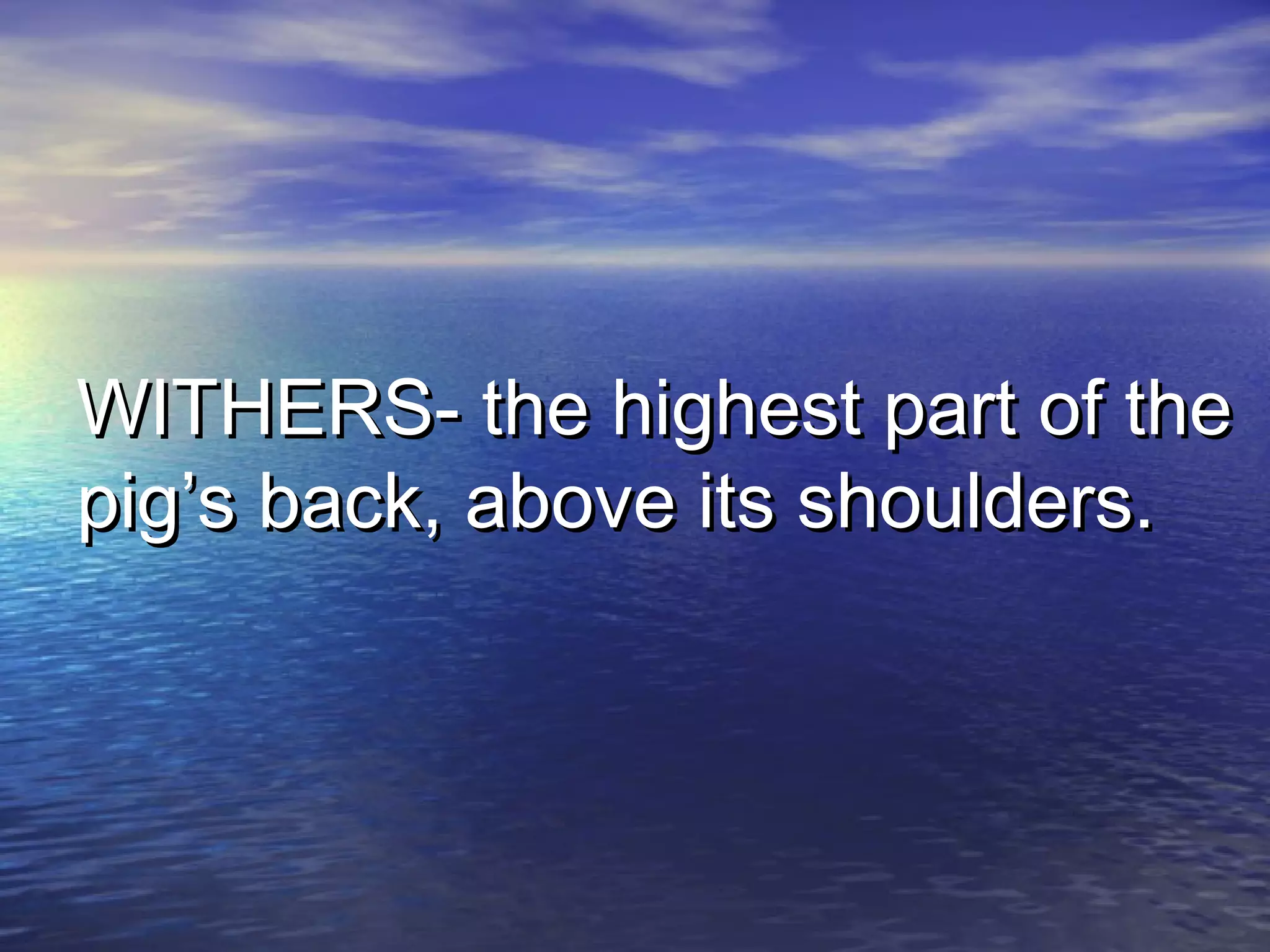WITHERS- the highest part of theWITHERS- the highest part of the
pig’s back, above its shoulders.pig’s back, above its shoulders.
 