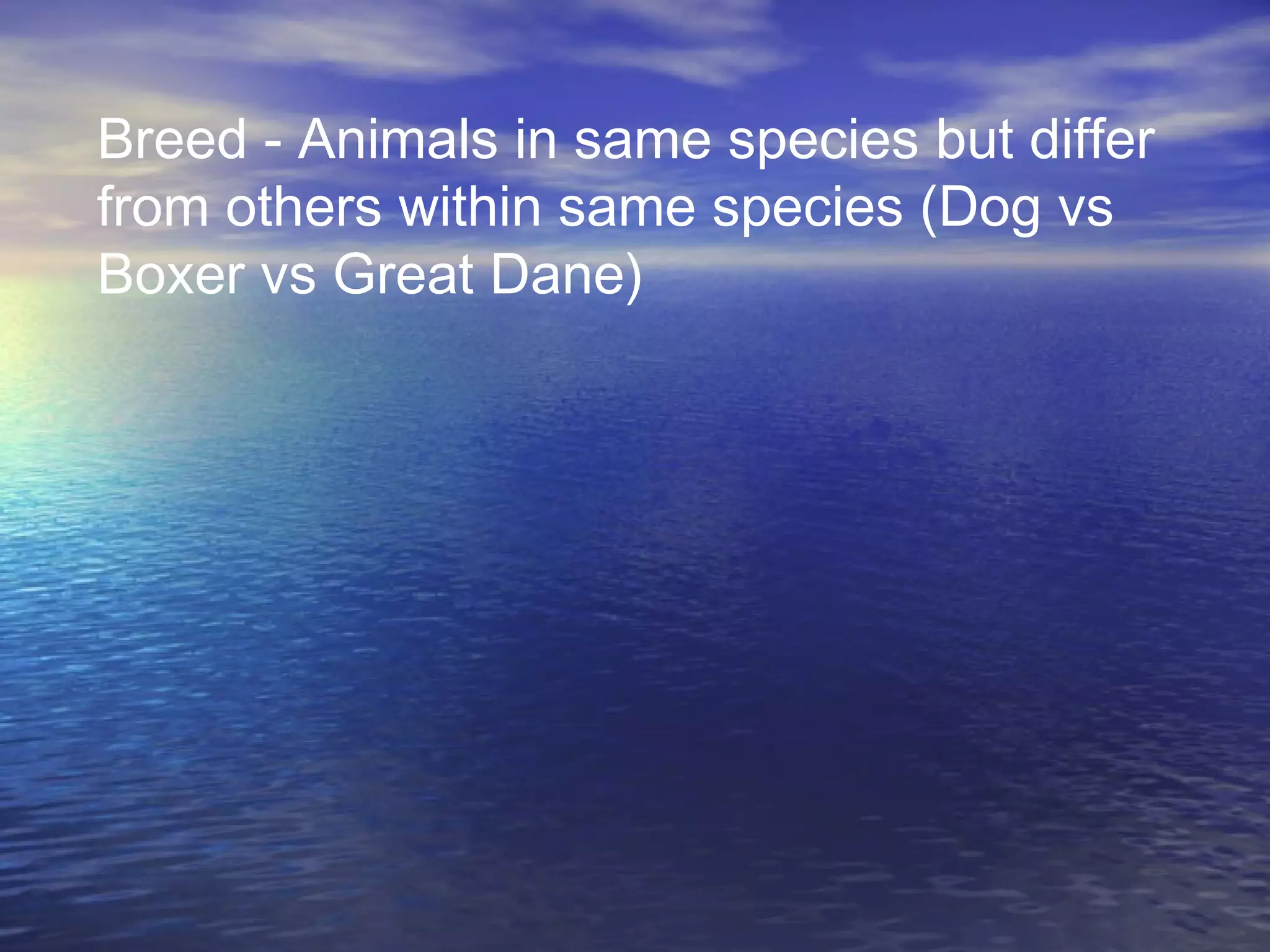 Breed - Animals in same species but differ
from others within same species (Dog vs
Boxer vs Great Dane)
 