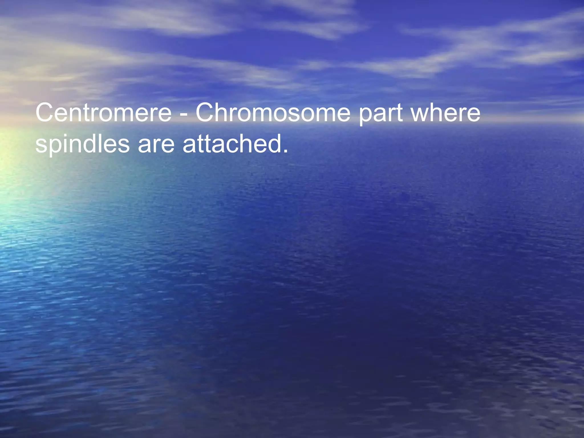 Centromere - Chromosome part where
spindles are attached.
 