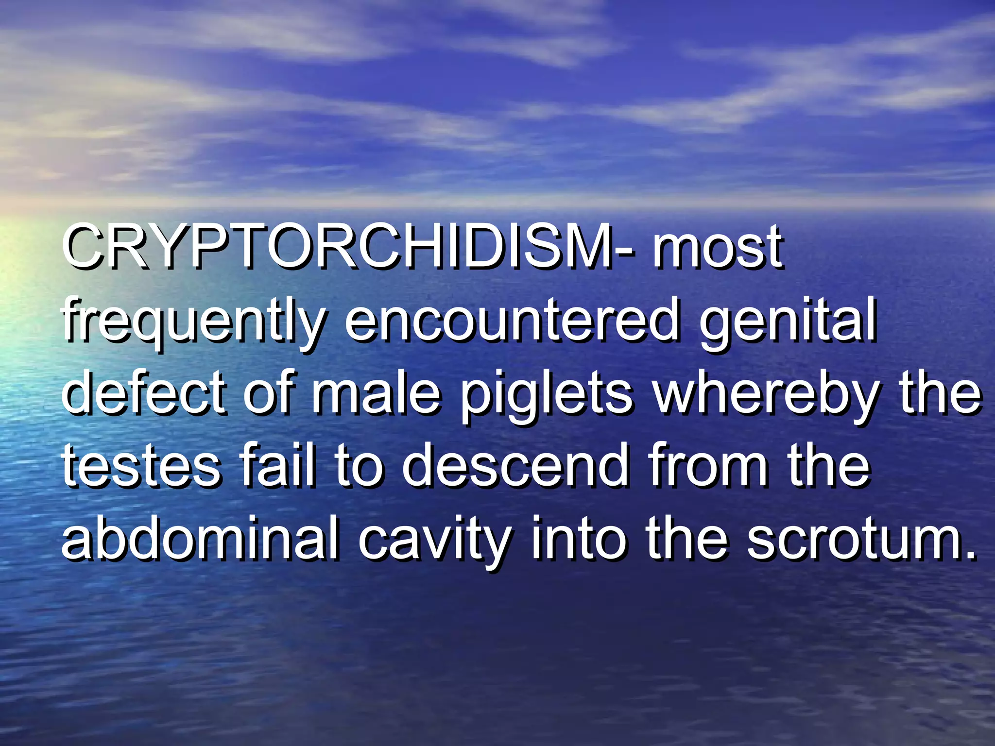 CRYPTORCHIDISM- mostCRYPTORCHIDISM- most
frequently encountered genitalfrequently encountered genital
defect of male piglets whereby thedefect of male piglets whereby the
testes fail to descend from thetestes fail to descend from the
abdominal cavity into the scrotum.abdominal cavity into the scrotum.
 
