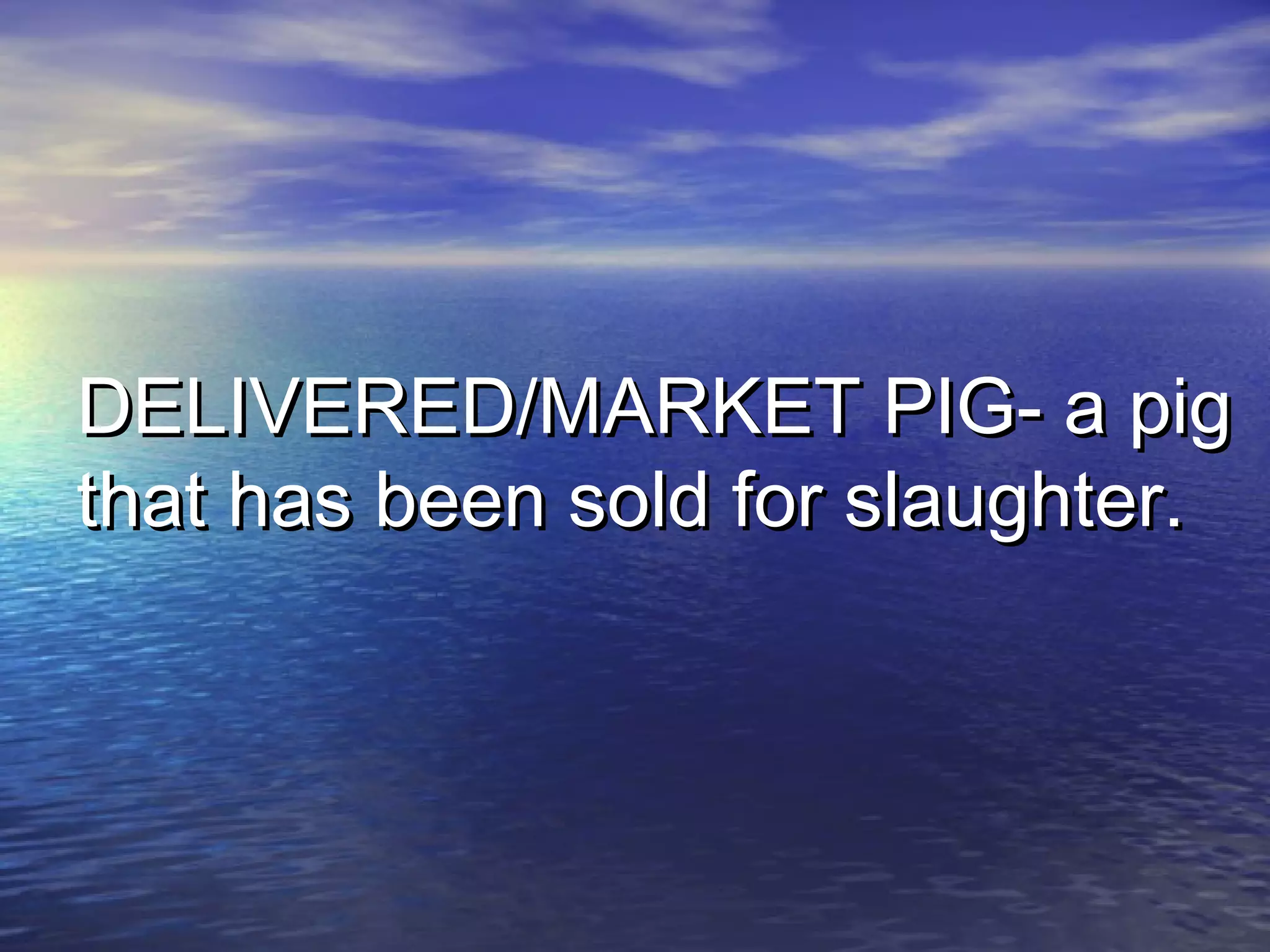 DELIVERED/MARKET PIG- a pigDELIVERED/MARKET PIG- a pig
that has been sold for slaughter.that has been sold for slaughter.
 