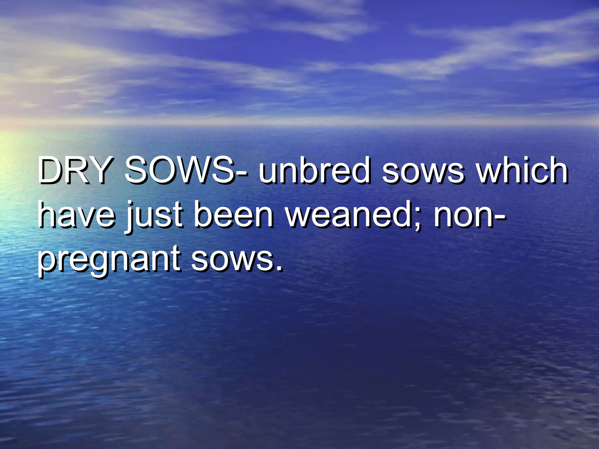DRY SOWS- unbred sows whichDRY SOWS- unbred sows which
have just been weaned; non-have just been weaned; non-
pregnant sows.pregnant sows.
 