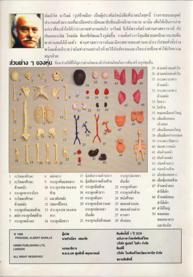 จ กรกลของร างกาย 01 กล ามเน อ