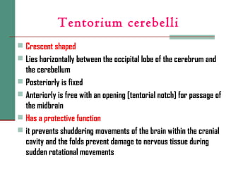 Tentorium cerebelli
 Crescent shaped
 Lies horizontally between the occipital lobe of the cerebrum and
the cerebellum
 Posteriorly is fixed
 Anteriorly is free with an opening [tentorial notch] for passage of
the midbrain
 Has a protective function
 it prevents shuddering movements of the brain within the cranial
cavity and the folds prevent damage to nervous tissue during
sudden rotational movements
 