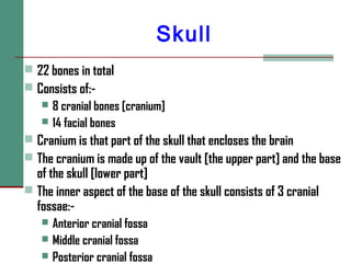 Skull
 22 bones in total
 Consists of:-
 8 cranial bones [cranium]
 14 facial bones
 Cranium is that part of the skull that encloses the brain
 The cranium is made up of the vault [the upper part] and the base
of the skull [lower part]
 The inner aspect of the base of the skull consists of 3 cranial
fossae:-
 Anterior cranial fossa
 Middle cranial fossa
 Posterior cranial fossa
 