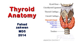 ThyroidThyroid
AnatomyAnatomy
FahadFahad
zakwanzakwan
MD5MD5
20142014
 