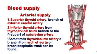 Blood supplyBlood supply
Arterial supplyArterial supply
1.1.Superior thyroid arterySuperior thyroid artery, branch of, branch of
external carotid arteryexternal carotid artery
2.2.Inferior thyroid arteryInferior thyroid artery fromfrom
thyrocervical trunkthyrocervical trunk branch of thebranch of the
first part offirst part of subclavian arterysubclavian artery..
•SometimesSometimes thyroidea ima arterythyroidea ima artery aa
branch frombranch from arch of aortaarch of aorta oror
brachiocephalic trunk can bebrachiocephalic trunk can be
found.found.
 
