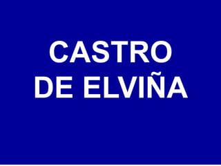 CASTRO
DE ELVIÑA
 